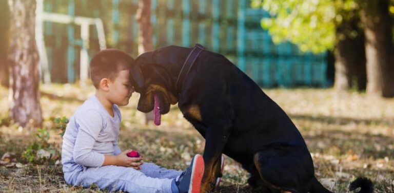 Porque los peludos también son familia: SEGURO DE MASCOTAS