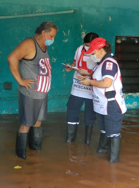 IMG-37258393