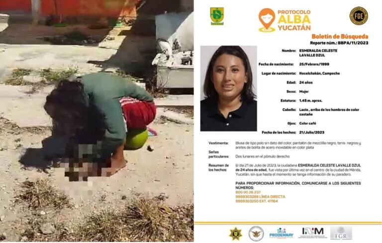 La chica que comía un gato y no pudo ser identificada por la policía tiene ALERTA ALBA