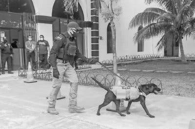 Detectan maltrato a policías de Valladolid