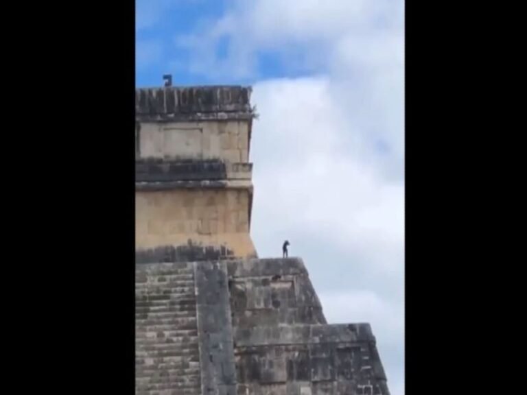 Captan a ‘lomito’ en la cima de Chichen Itzá; video se hace viral