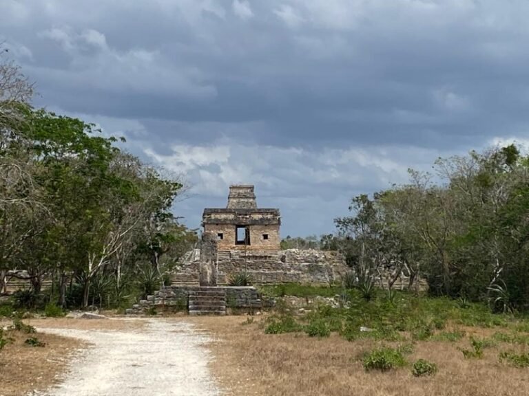 Zona arquelógica de Dzbilchaltún reabrirá tras cuatro meses de bloqueo