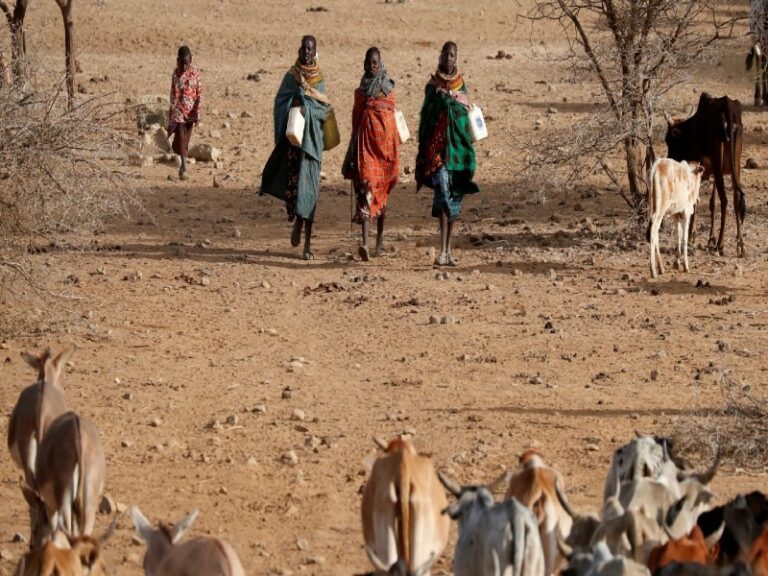 Somalia declara «estado de emergencia humanitaria» por sequía