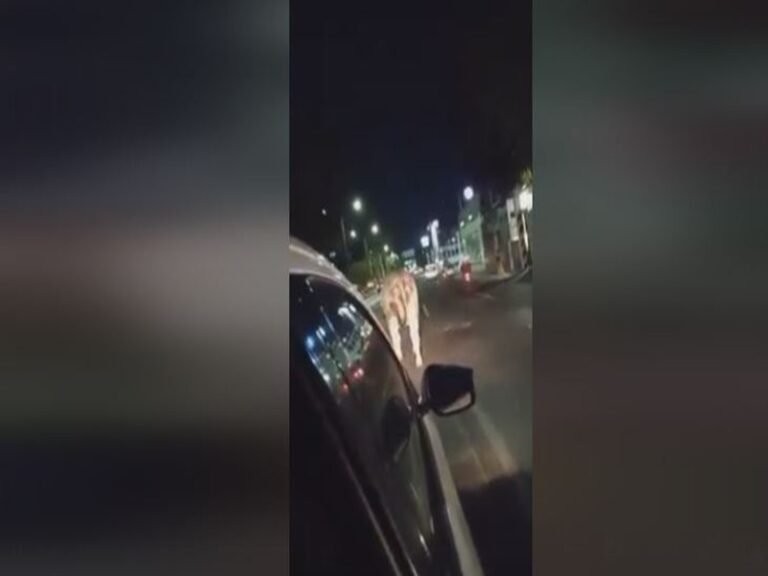 Captan a una vaca caminando sobre la Vía Morelos en Ecatepec