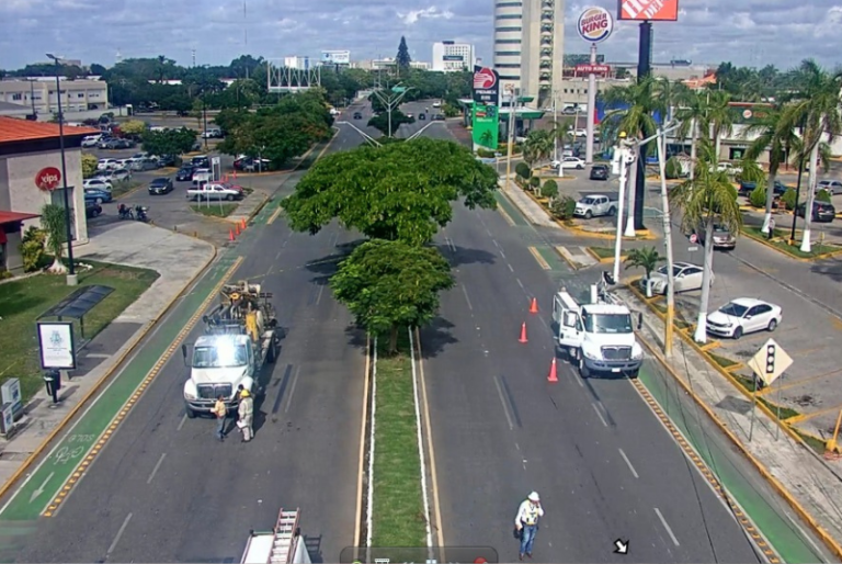 Continúan trabajos de reconexión tras derribo de postes de electricidad en prolongación Paseo Montejo