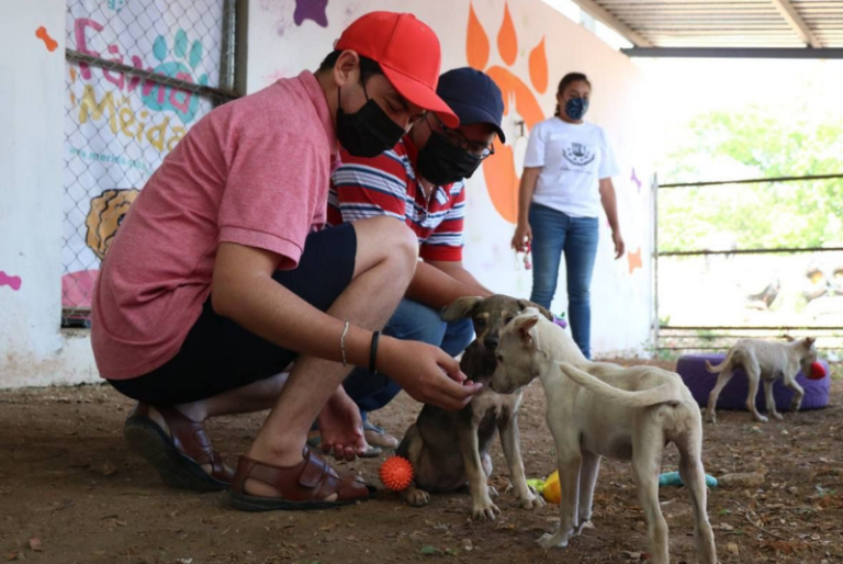 Dan a conocer los cinco ejes de trabajo para la protección a la fauna en Mérida