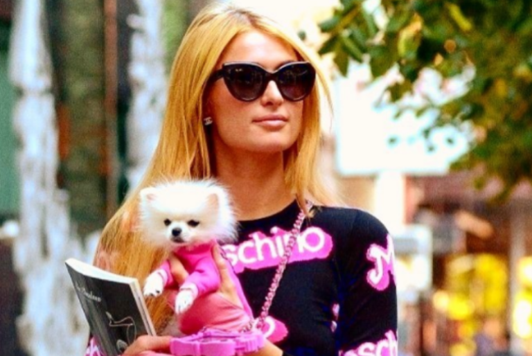 Entre lujos y excentricidades, así viven los perros de Paris Hilton: FOTOS