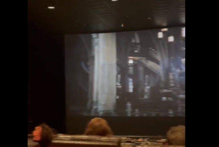 Liberan murciélago real durante función de Batman en sala de cine: VIDEO