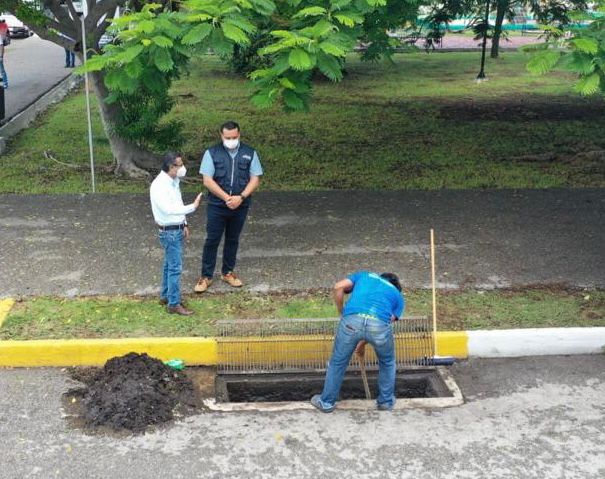 Cuadrillas embellecen la ciudad de Mérida en el inicio de la recuperación económica