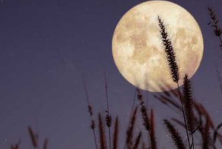 Cuándo es la luna de flores de mayo