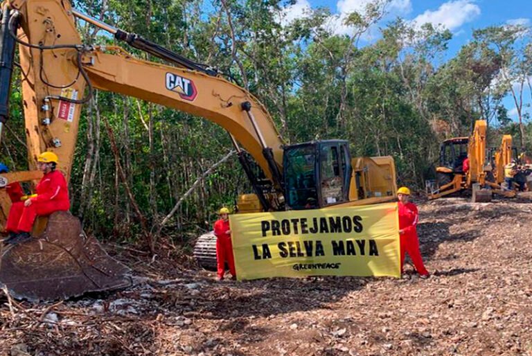 Juez ordena otra suspensión provisional al tramo 5 del Tren Maya