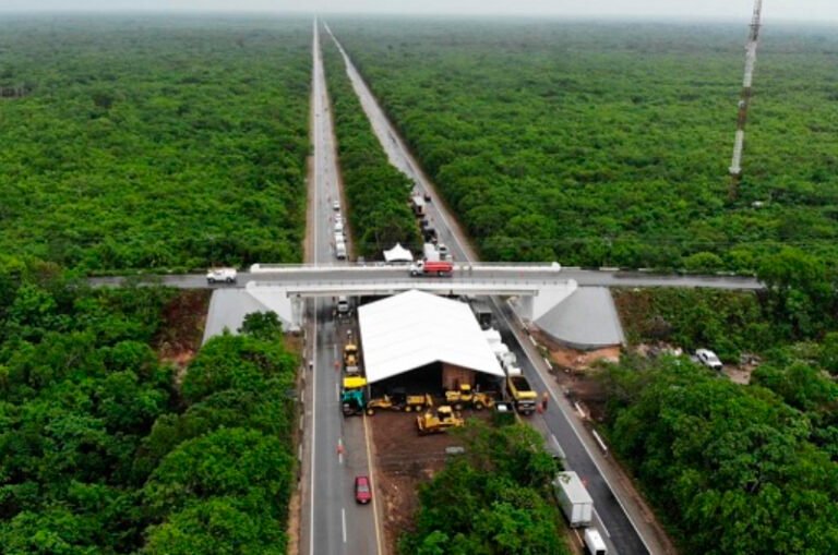 Juez admite ampliación de amparo contra obras del tramo 5 del Tren Maya