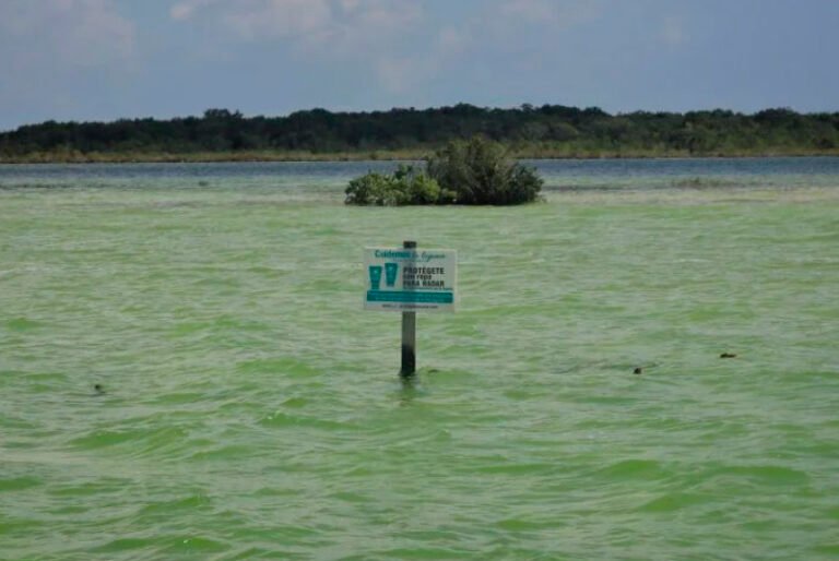 AMLO descarta afectación del Tren Maya en la laguna de Bacalar