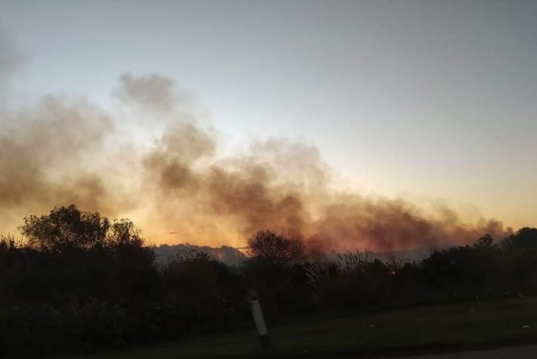 Se registra incendio en la zona de manglares  y montes entre Chicxulub Puerto y Progreso