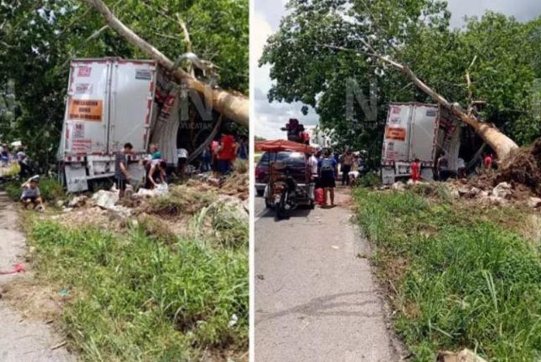 Rapiña de leche en la Mérida- Cancún