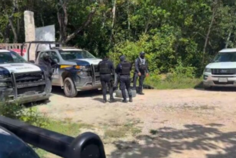 Hallan osamenta de, al menos, tres personas en presunta ‘narcofosa’ al Sur de Playa del Carmen