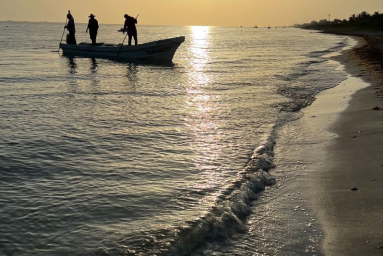 Marea roja se aleja de las playas yucatecas