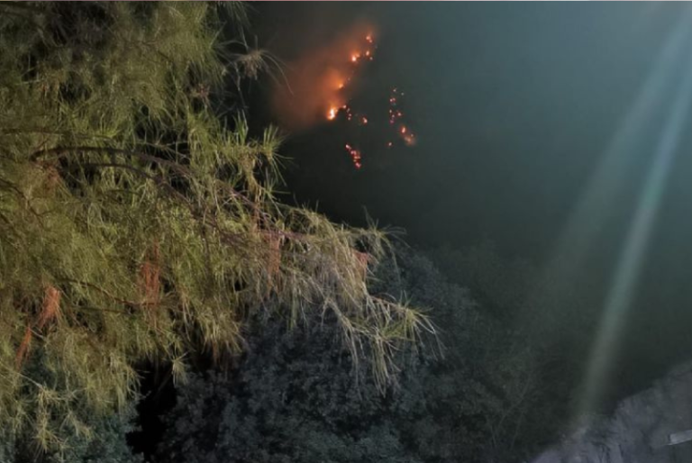 Se incendia Cerro de la Silla en Guadalupe, Nuevo León