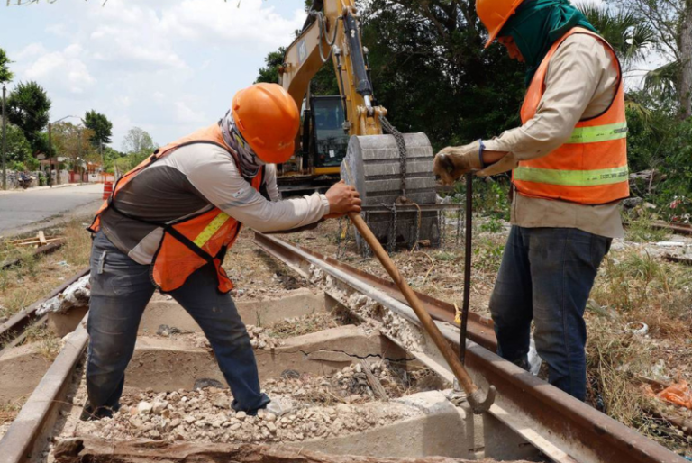 INAI ordena a Semarnat revelar autorización provisional para construcción del Tramo 4 del Tren Maya