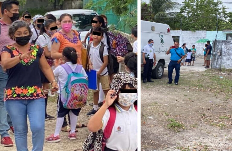 Abejas atacan a 14 niños y un adulto en escuela de Cancún