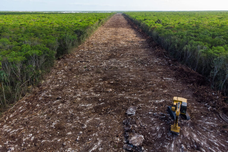 Morena atacan parque Tho´ por presunto daño ambiental, pero defienden  el proyecto Ecocida del Tren Maya
