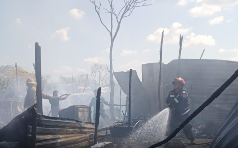 SIETE PERRITOS  CALCINADOS EN INCENDIO EN YUCATÁN