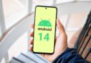 Android 14 ya se encuentra disponible conoce sus novedades y características