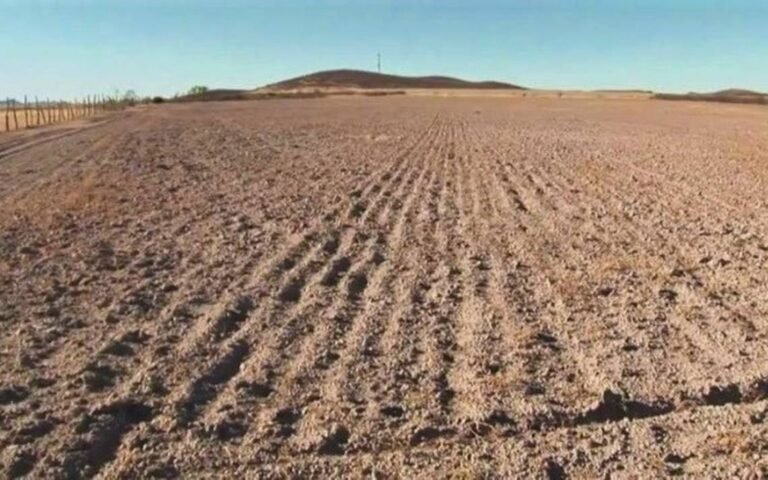 El campo,  abandonado por la Cuarta Transformación