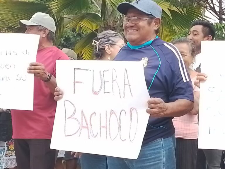 ACUSAN “PROTECCIÓN” A GRANJAS DE POLLO MIENTRAS APRIETAN A LAS PORCÍCOLAS EN YUCATÁN
