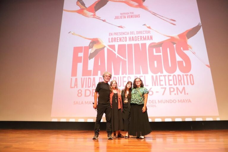 Documental sobre flamencos yucatecos conquista al público en el Gran Museo del Mundo Maya