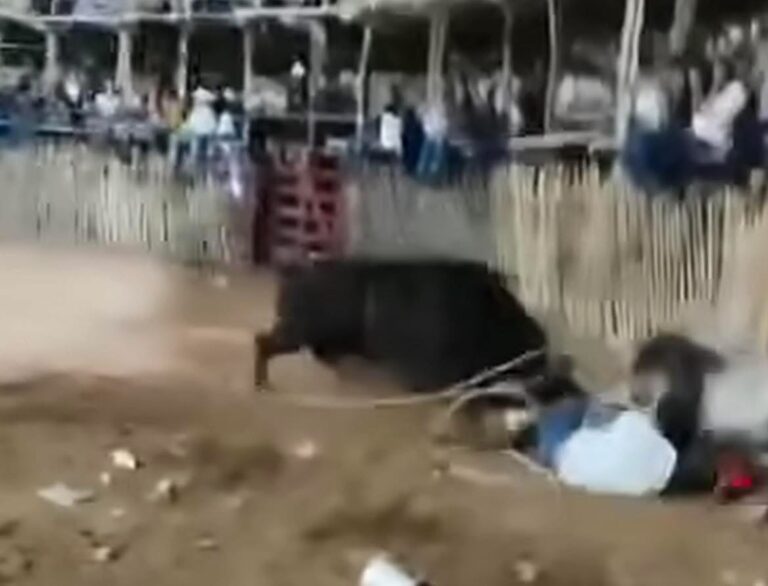 Toro embiste a joven vaquero durante corrida en Buctzotz; termina hospitalizado