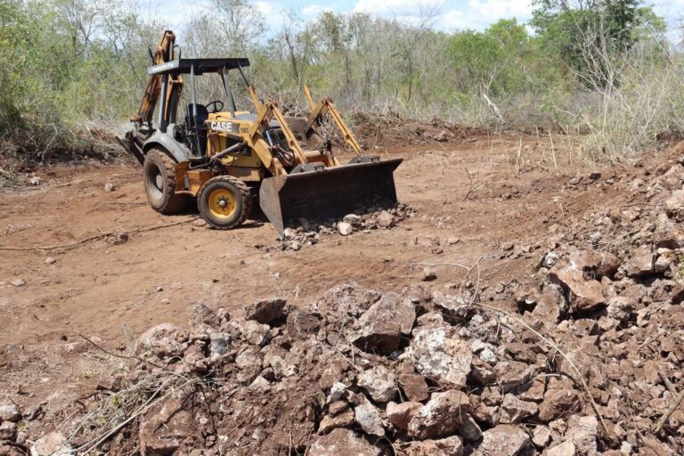 Clausuran predio por desmonte ilegal en la Reserva Cuxtal; aseguran maquinaria pesada