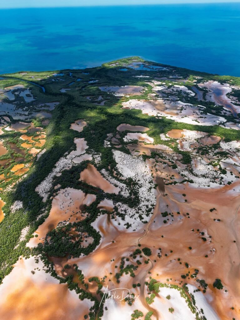 Amazonia yucateca: fotógrafo revela la riqueza oculta de los manglares del norte de la Península