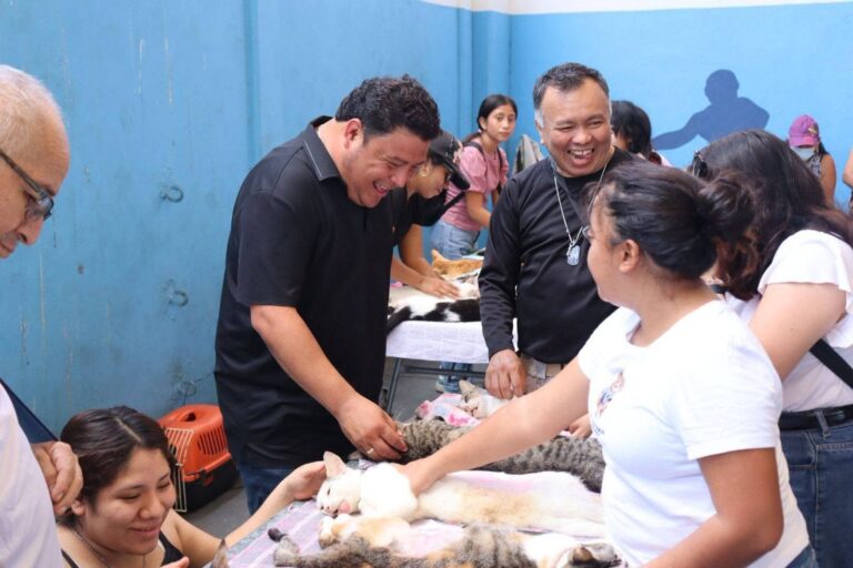 Kanasín impulsa el bienestar animal con jornada masiva de esterilización gratuita