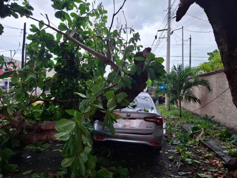 Lluvias movilizan a cuerpos de emergencia; SSP responde a 116 incidentes en Yucatán