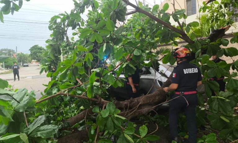 Fuertes lluvias generan más de un centenar de emergencias en Yucatán; SSP mantiene operativo de atención