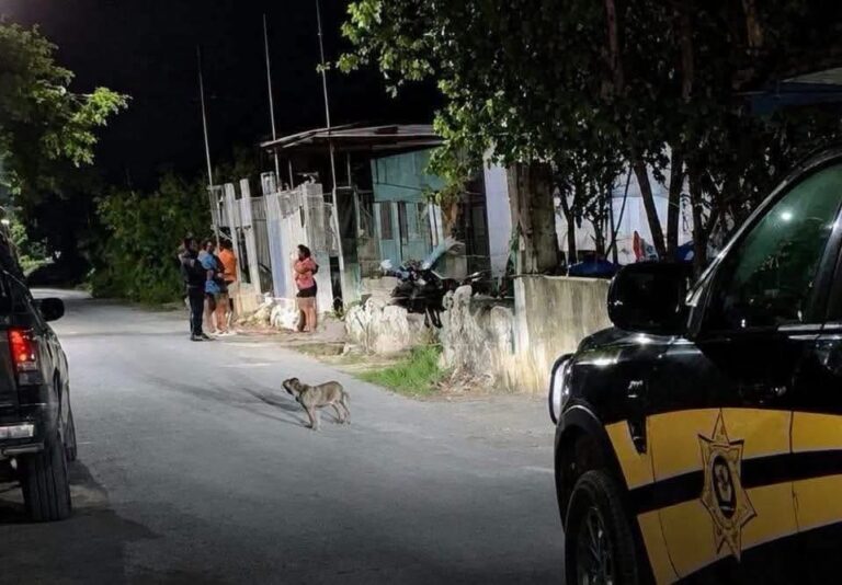Abuelo se convierte en escudo humano y salva a su nieto de quedar sepultado en Motul